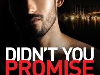 Cover Reveal & Giveaway: Didn’t You Promise by Amber Bardan