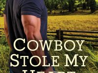 Blog Tour & Review: Cowboy Stole My Heart by Soraya Lane