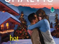Blog Tour & Giveaway: Hot Winter Night by Jill Shalvis