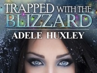 Blog Tour & Giveaway: Trapped With The Blizzard by Adele Huxley