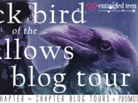 Blog Tour & Giveaway: Black Bird of the Gallows by Meg Kassel
