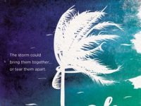 Summer Reading Tour & Giveaway: Meet The Sky by McCall Hoyle